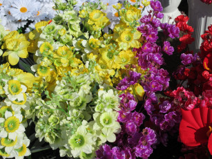 Картинка разное ремесла +поделки +рукоделие букет