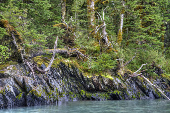 Картинка природа реки озера простор