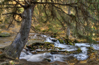 Картинка природа реки озера простор