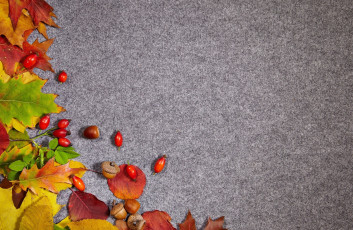 Картинка природа листья шиповник осень желуди фон