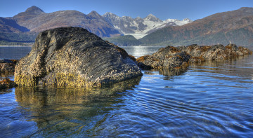 Картинка природа побережье простор