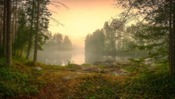 Картинка природа реки озера простор