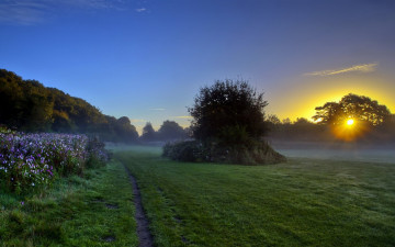 Картинка природа восходы закаты луг закат кусты