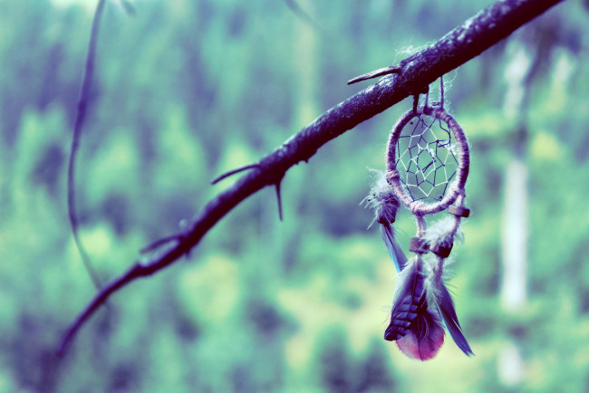 Обои картинки фото разное, украшения,  аксессуары,  веера, ловец, снов, ветка, плетение, перья
