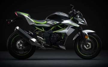 Картинка 2020+kawasaki+z125+eu мотоциклы kawasaki z125 4k супербайк 2020 года eu spec японские