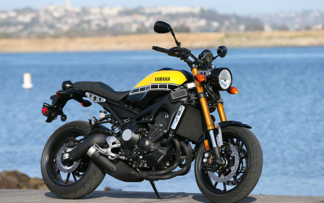 Обои картинки фото 2020 yamaha xsr900, мотоциклы, yamaha, xsr900, 2020, городской, байк, вид, сбоку, новый, японские