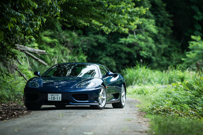 Обои картинки фото автомобили, ferrari