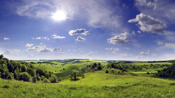 Картинка природа луга лето луг трава цветы