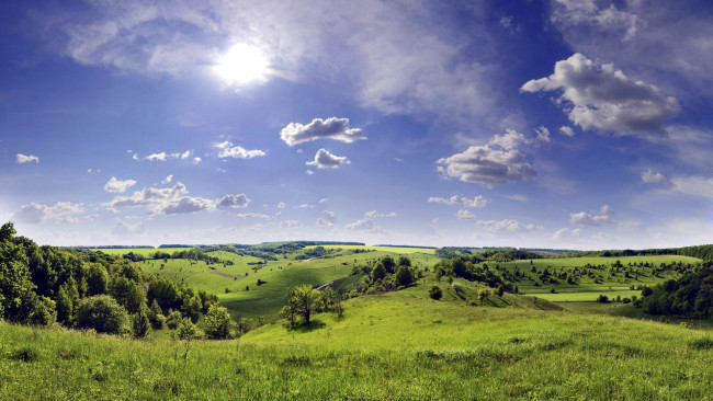 Обои картинки фото природа, луга, лето, луг, трава, цветы