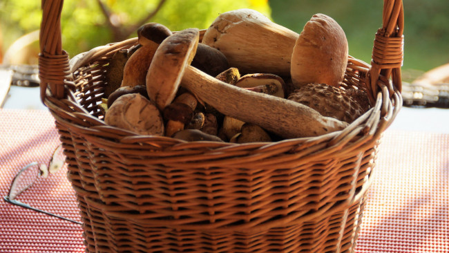 Обои картинки фото еда, грибы,  грибные блюда, корзинка, боровик, подосиновик