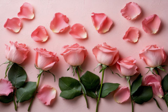 Картинка 3д+графика цветы+ flowers розы