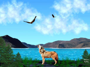 обоя рисованные, животные, волк, орел