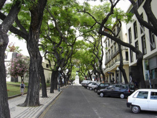 Картинка квартал на мадейре города улицы площади набережные