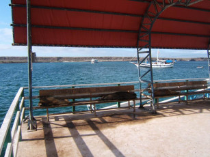 Картинка прикольчики юмор приколы