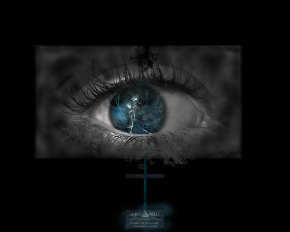 Обои картинки фото разное, глаза