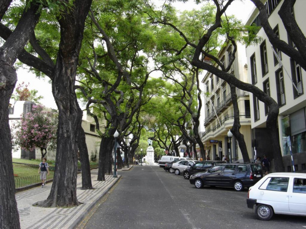 Обои картинки фото квартал, на, мадейре, города, улицы, площади, набережные