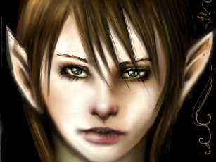 Картинка фэнтези эльфы