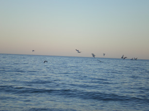 Картинка природа моря океаны