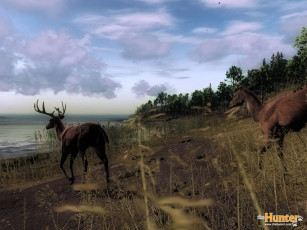 Картинка the hunter видео игры