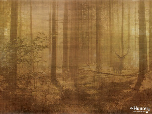 Картинка the hunter видео игры