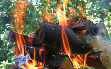 Картинка природа огонь