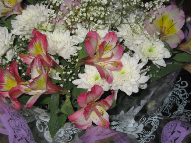 Обои картинки фото цветы, букеты, композиции