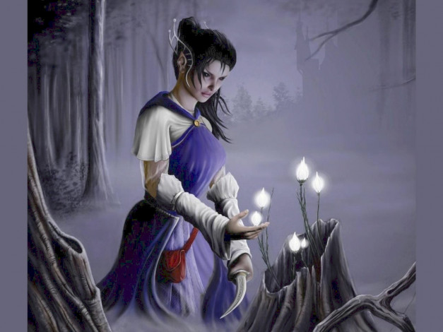 Обои картинки фото фэнтези, эльфы