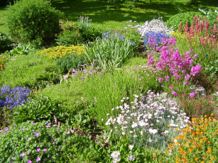 обоя цветы, разные, вместе