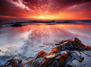 Картинка природа восходы закаты