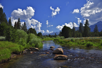 Картинка природа реки озера