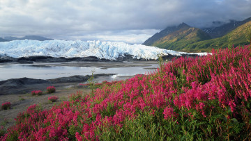 Картинка природа айсберги ледники