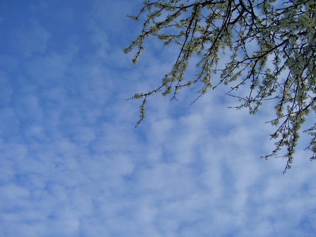 Обои картинки фото природа, облака