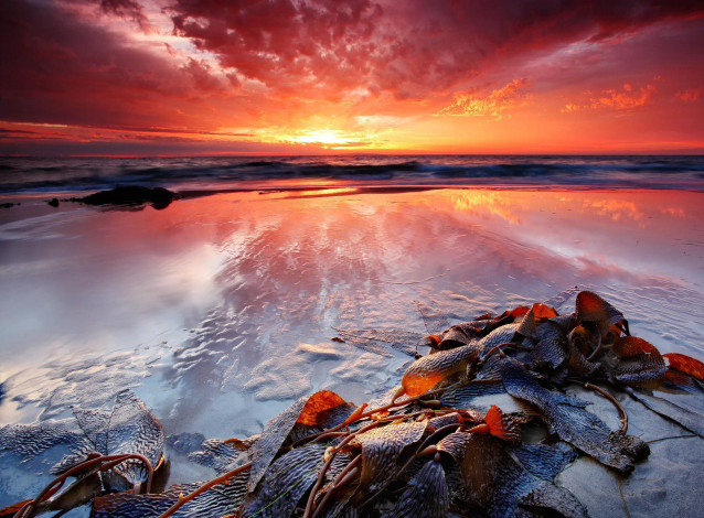 Обои картинки фото природа, восходы, закаты