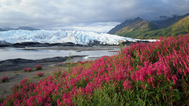 Обои картинки фото природа, айсберги, ледники