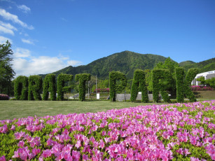 Картинка природа парк Япония