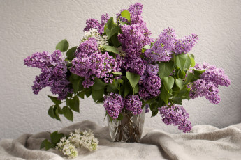 Картинка цветы сирень ваза букет