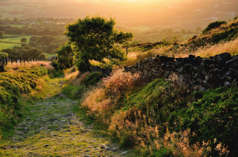 Картинка природа дороги свет дорога заборы дерево