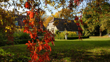 Картинка разное сооружения постройки деревья вилла листья ветка лужайка