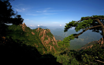 Картинка природа горы сосны