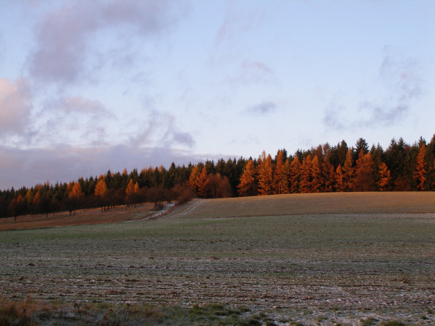 Обои картинки фото природа, поля, поле, дорога, лес, осень