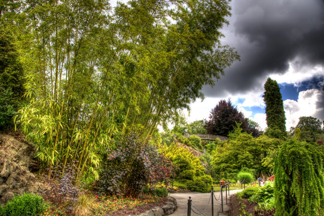 Обои картинки фото природа, парк, канада, queen, elizabeth, vancouver