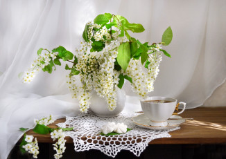 Картинка цветы цветущие+деревья+ +кустарники букет черемуха