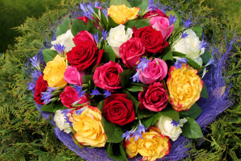 обоя цветы, букеты,  композиции, розы