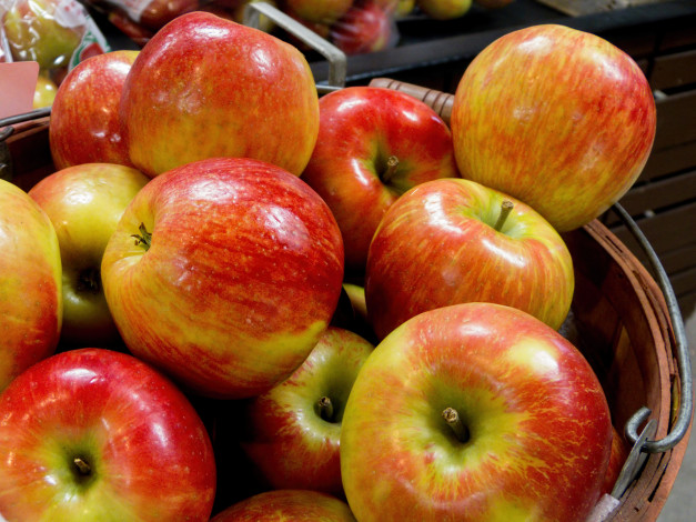 Обои картинки фото еда, Яблоки, плоды