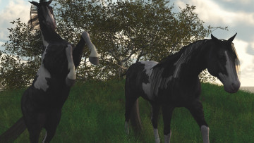 Картинка 3д+графика животные+ animals лошади