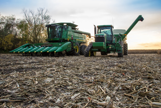 Обои картинки фото техника, комбайны, комбайн, уборочная