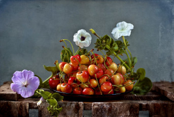 Картинка еда вишня +черешня черешня петуния блюдо