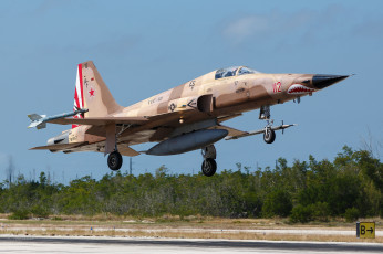 Картинка northrop+f-5n+tiger авиация боевые+самолёты истребитель