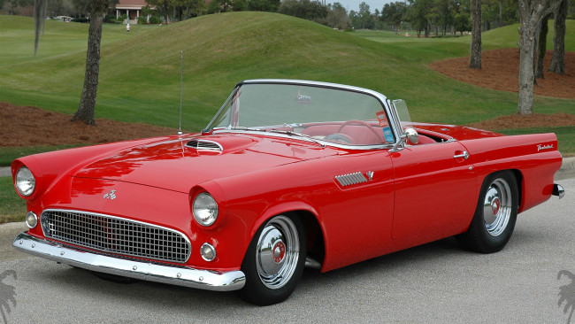 Обои картинки фото автомобили, ford, thunderbird