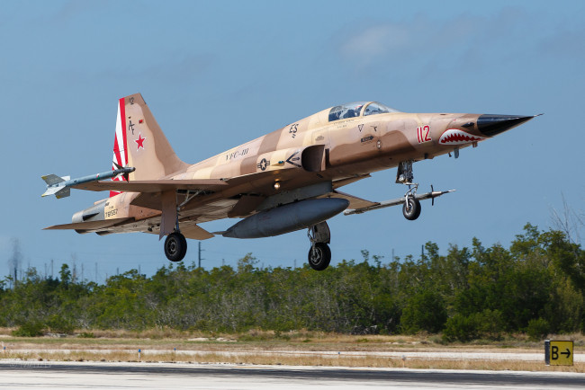 Обои картинки фото northrop f-5n tiger, авиация, боевые самолёты, истребитель